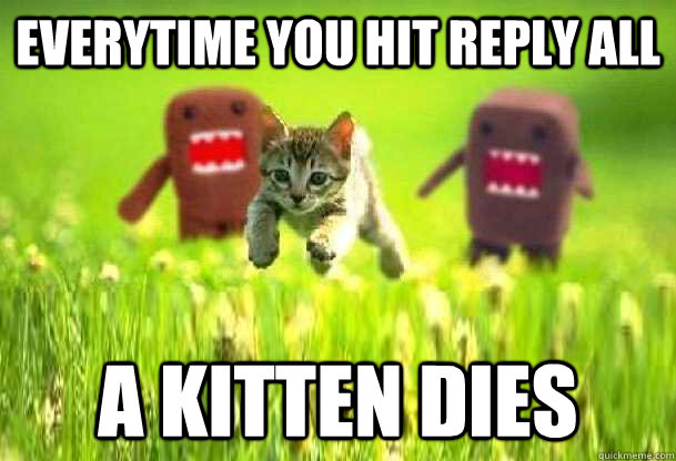 reply all kittens