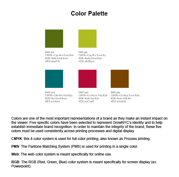 Color Palette Example