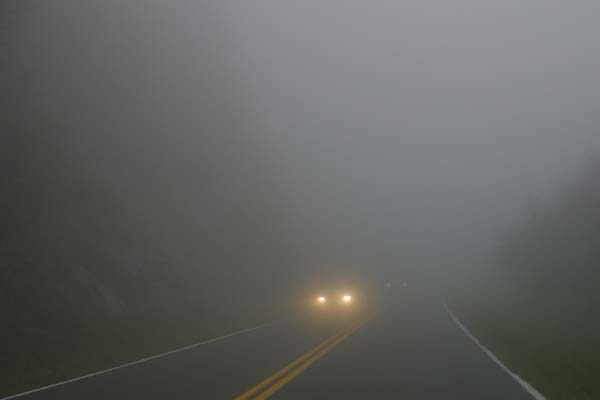 Foggy Road