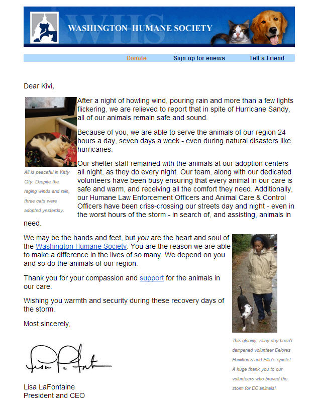 Washington Humane Society Post Sandy Email