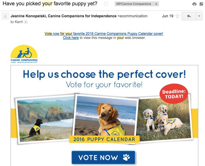 Canine Companions Vote For Your Favorite Puppy 