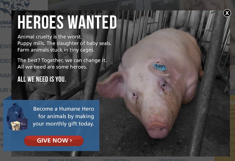 Human Society of the United States uses a lightbox to capture monthly donors. 