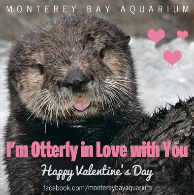 Monterey Bay Aquarium Otter Valentine's Day Card