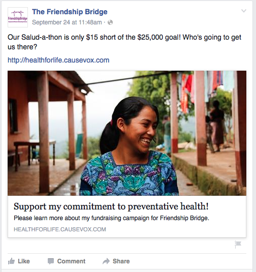 peer-to-peer fundraising example 5