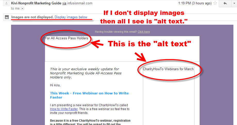 Alt Image Text Example