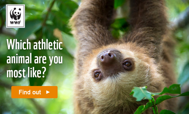 World Wildlife Fund's Amazon Athlete Quiz