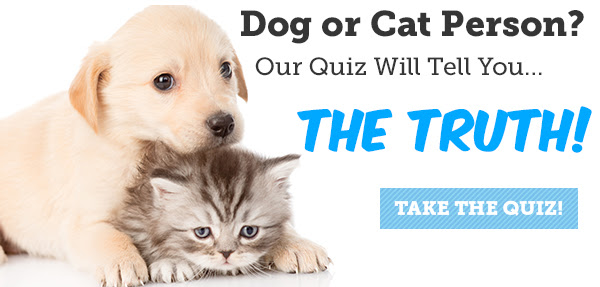 ASPCA's Dog or Cat Person Quiz