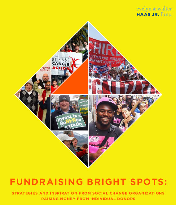 fundraisingbrightspots