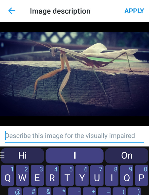 add text for visually impaired