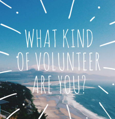 VolunteerMatch's What Kind of Volunteer Are You