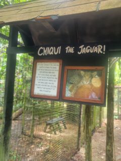 Belize Zoo Jaguar Sign