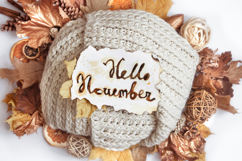 Nonprofit Social Media and Newsletter Ideas for November 2025 ...